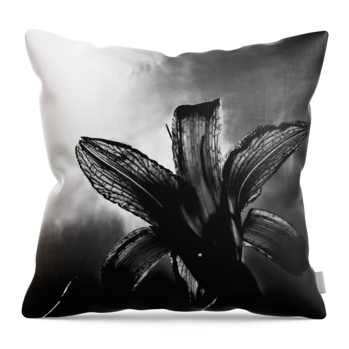 Daylily Silhouette Throw Pillow featuring the digital art Looking Up by Pamela Smale Williams