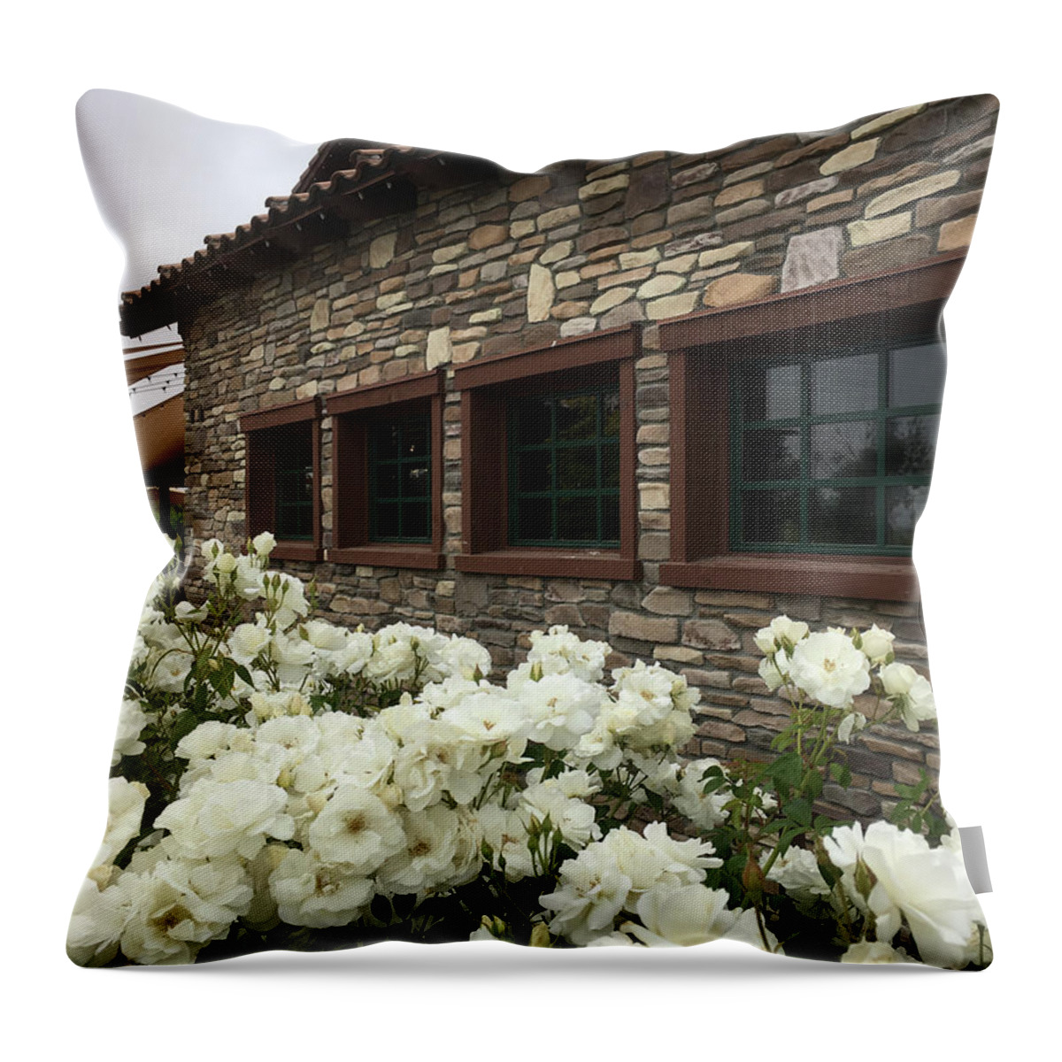 Lorimar Winery Throw Pillow featuring the photograph Lorimar Roses by Roxy Rich