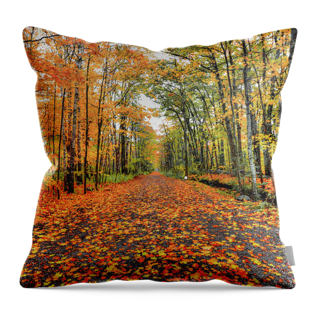 Fall Throw Pillow featuring the photograph Luckey Lane by Jeff Cooper