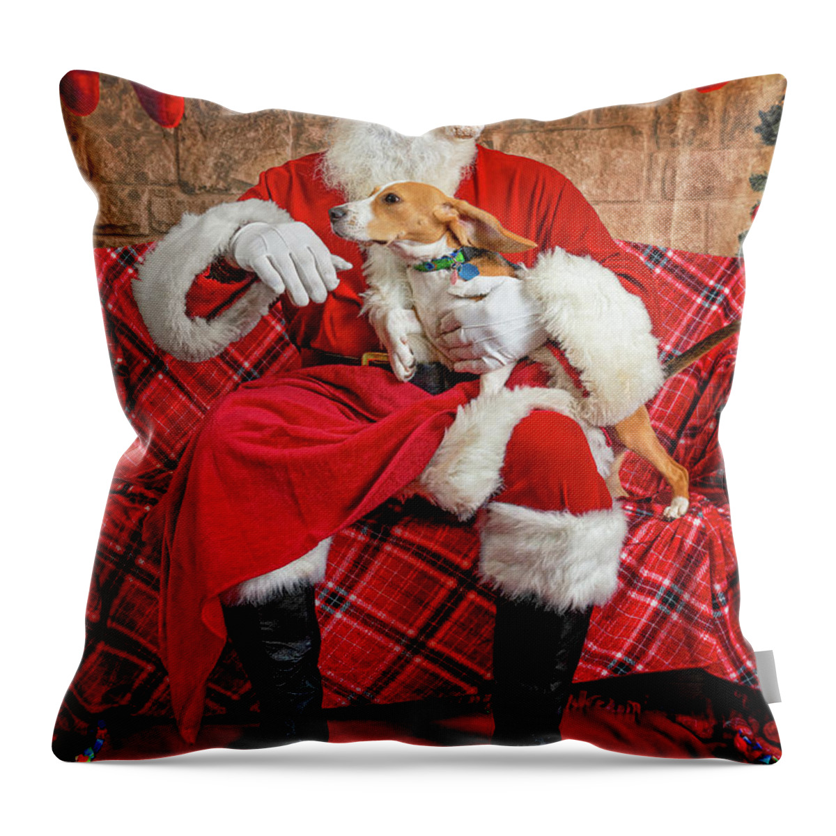Lucy Throw Pillow featuring the photograph Lucy with Santa 1 by Christopher Holmes