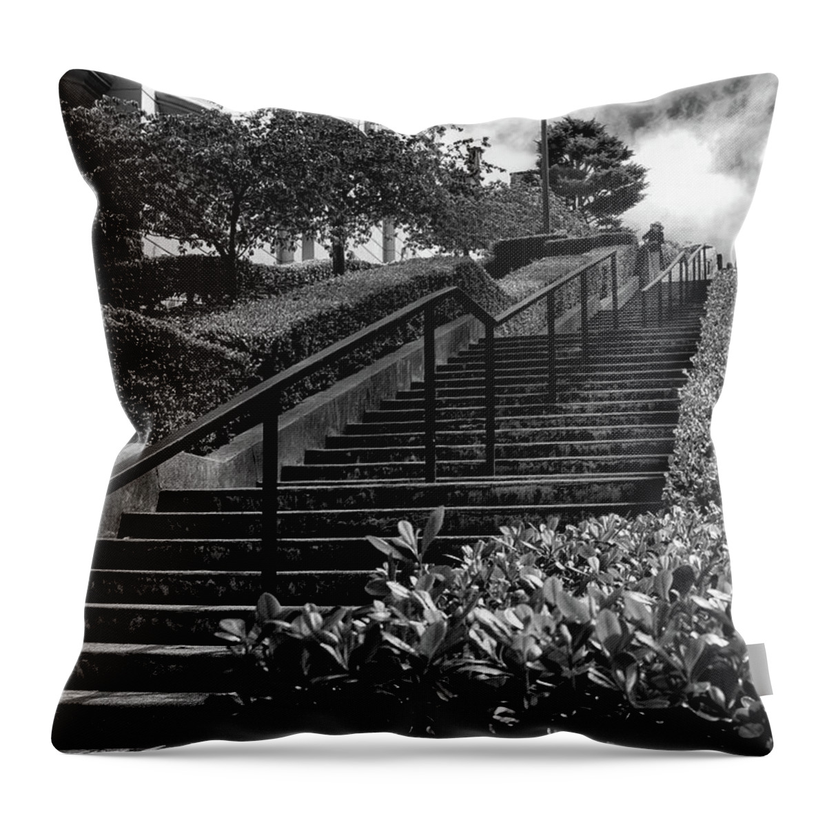 Sfo Throw Pillow featuring the photograph Lyon Street Steps by Doug Sturgess