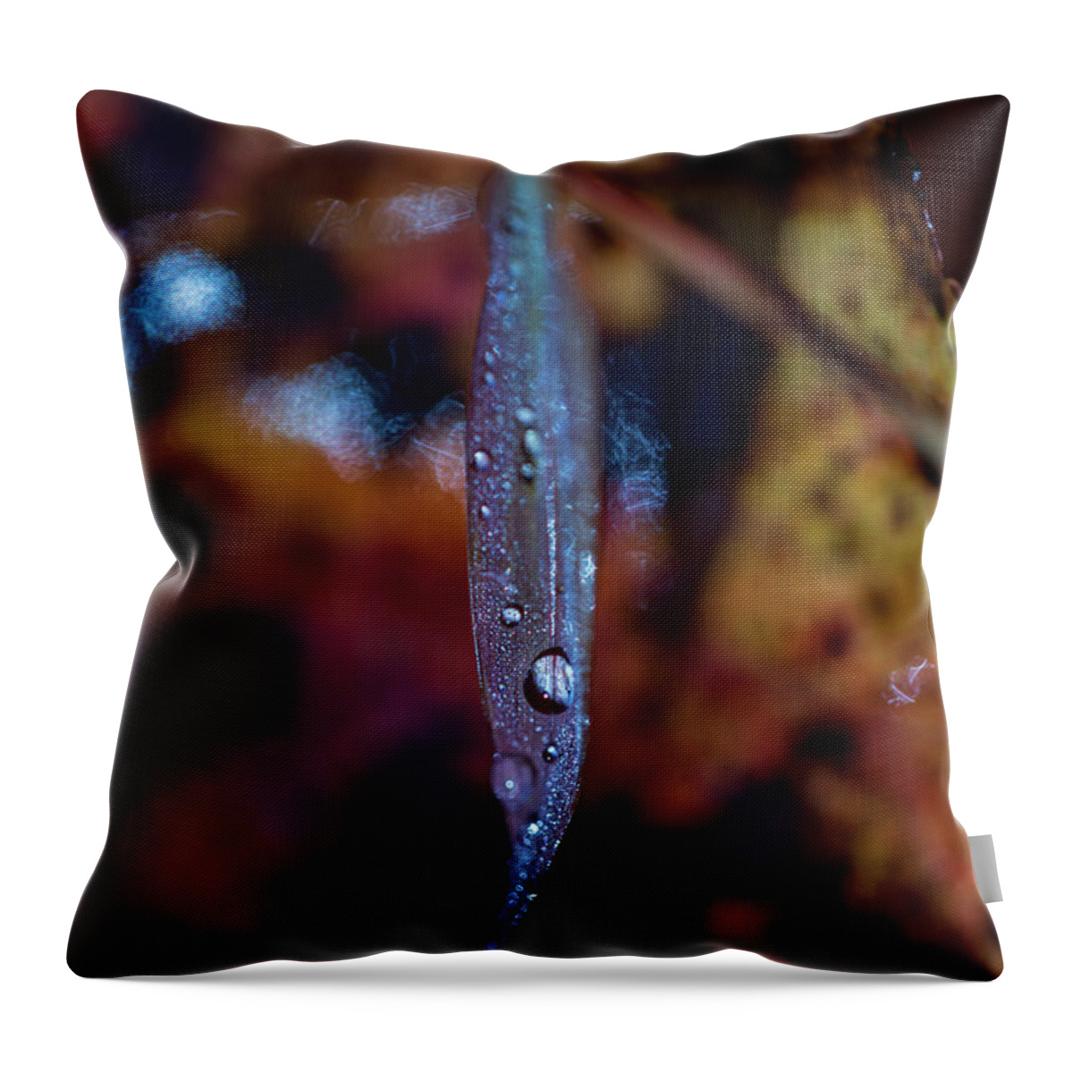 Fall Throw Pillow featuring the photograph Macro Photography - Autumn Water Drops by Amelia Pearn