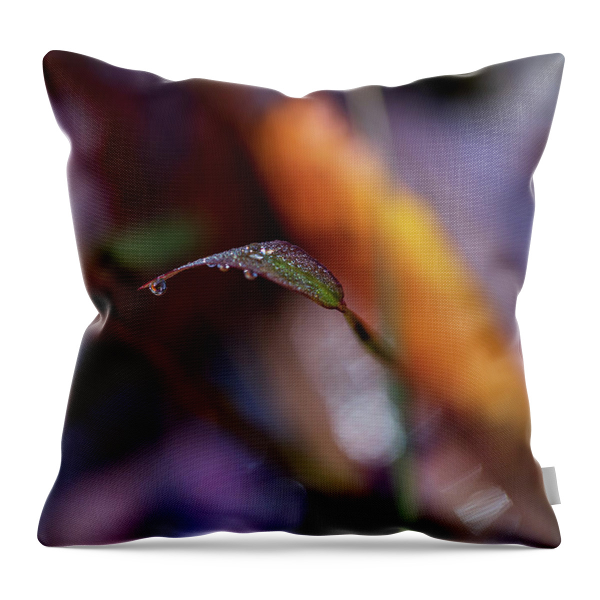 Fall Throw Pillow featuring the photograph Macro Photography - Fall Foliage by Amelia Pearn