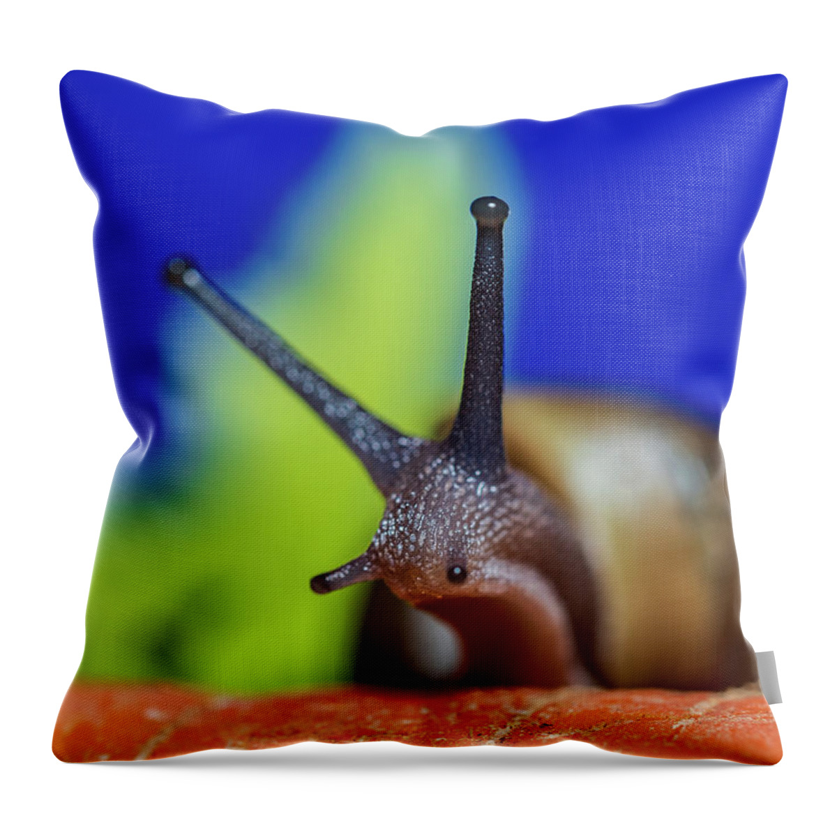 Animals Throw Pillow featuring the photograph Macro Photography - Snail by Amelia Pearn