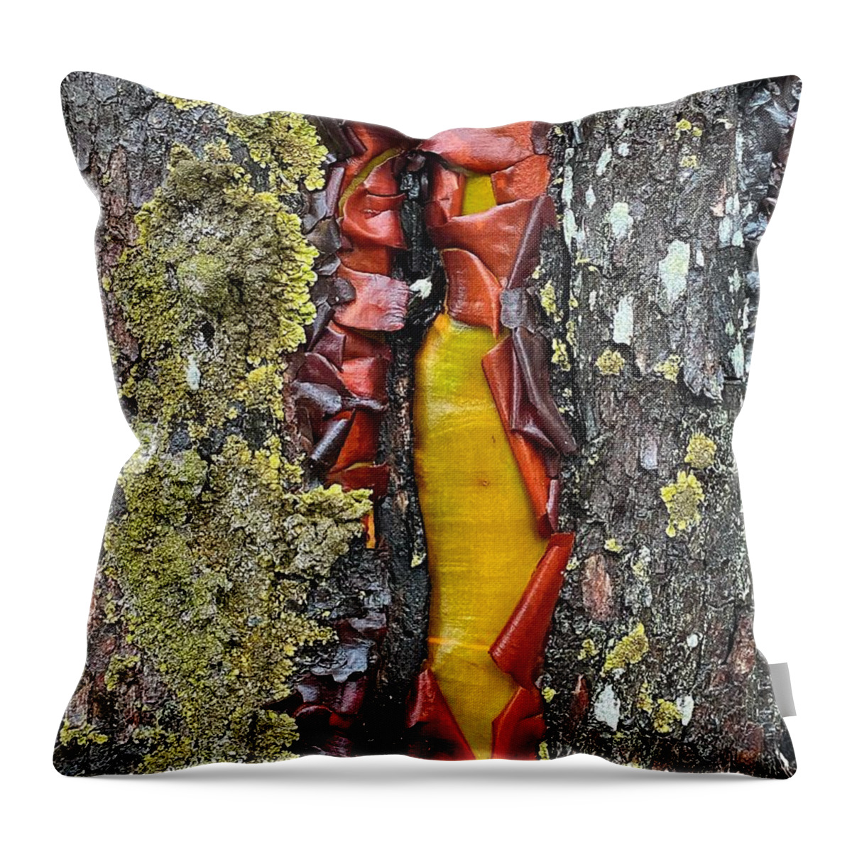 Abstract Throw Pillow featuring the photograph Madrone Tree Bark Abstract by Jerry Abbott