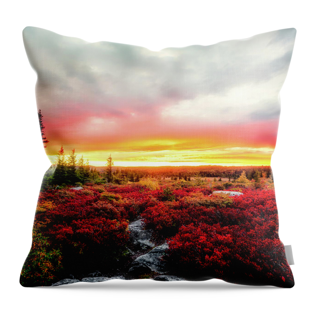 Landscape Throw Pillow featuring the photograph Magic of Autumn by C Renee Martin