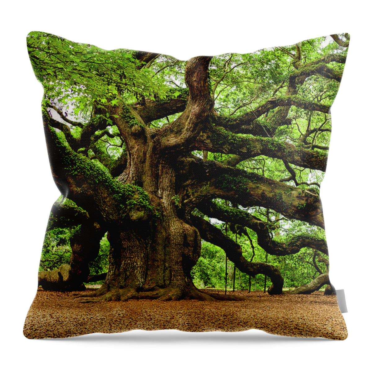 Charleston Throw Pillow featuring the photograph Mystical Angle Oak Tree larger image by Louis Dallara