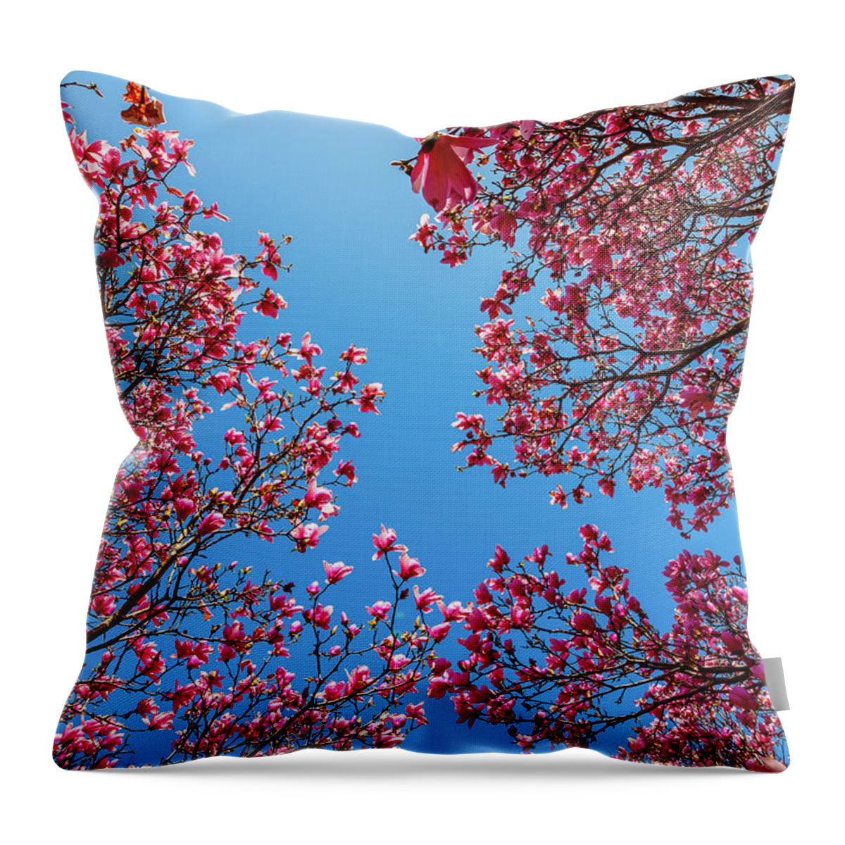 Magnolia Throw Pillow featuring the photograph Magnolia by David Beechum