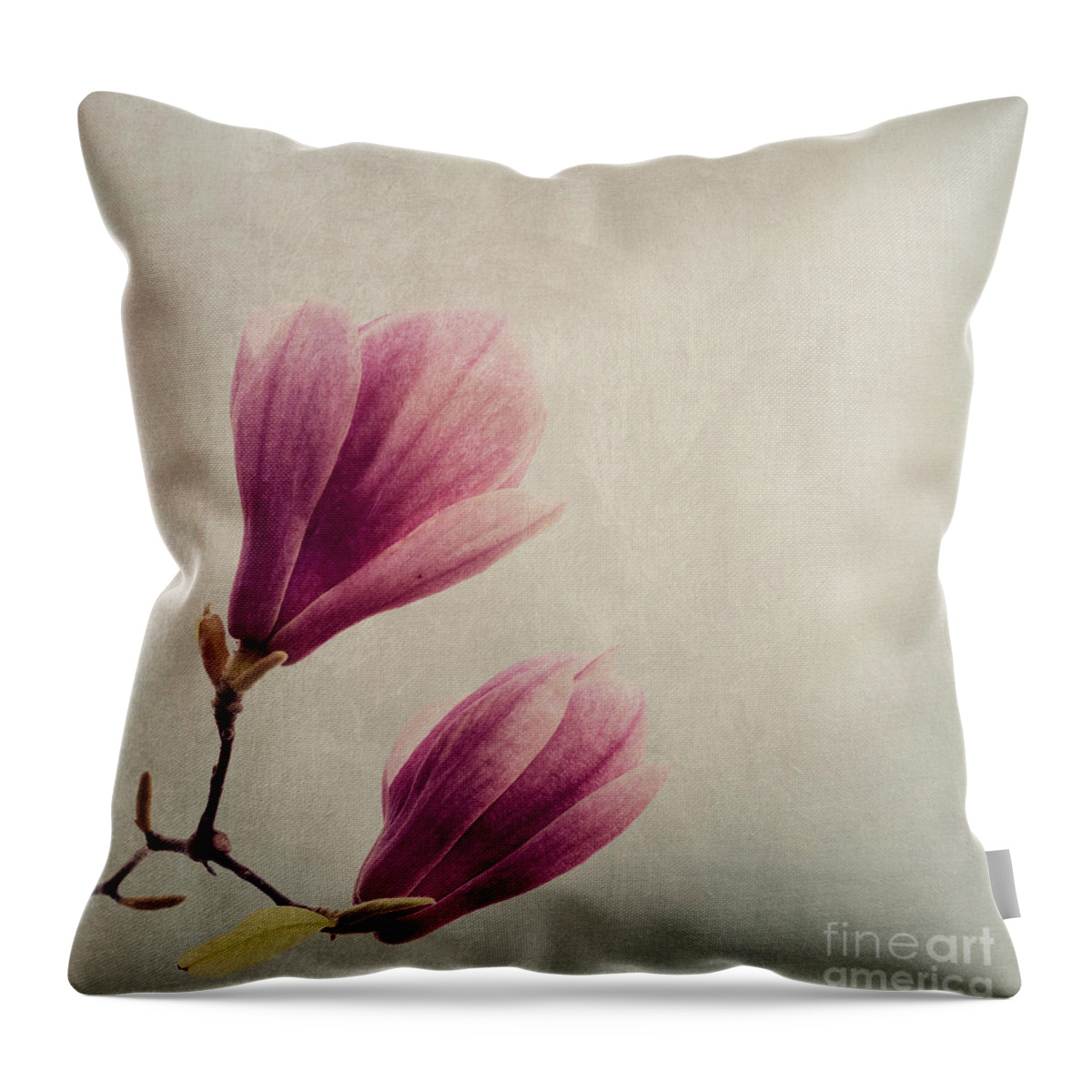 Magnolia Throw Pillow featuring the photograph Magnolia flower on art texture by Jelena Jovanovic