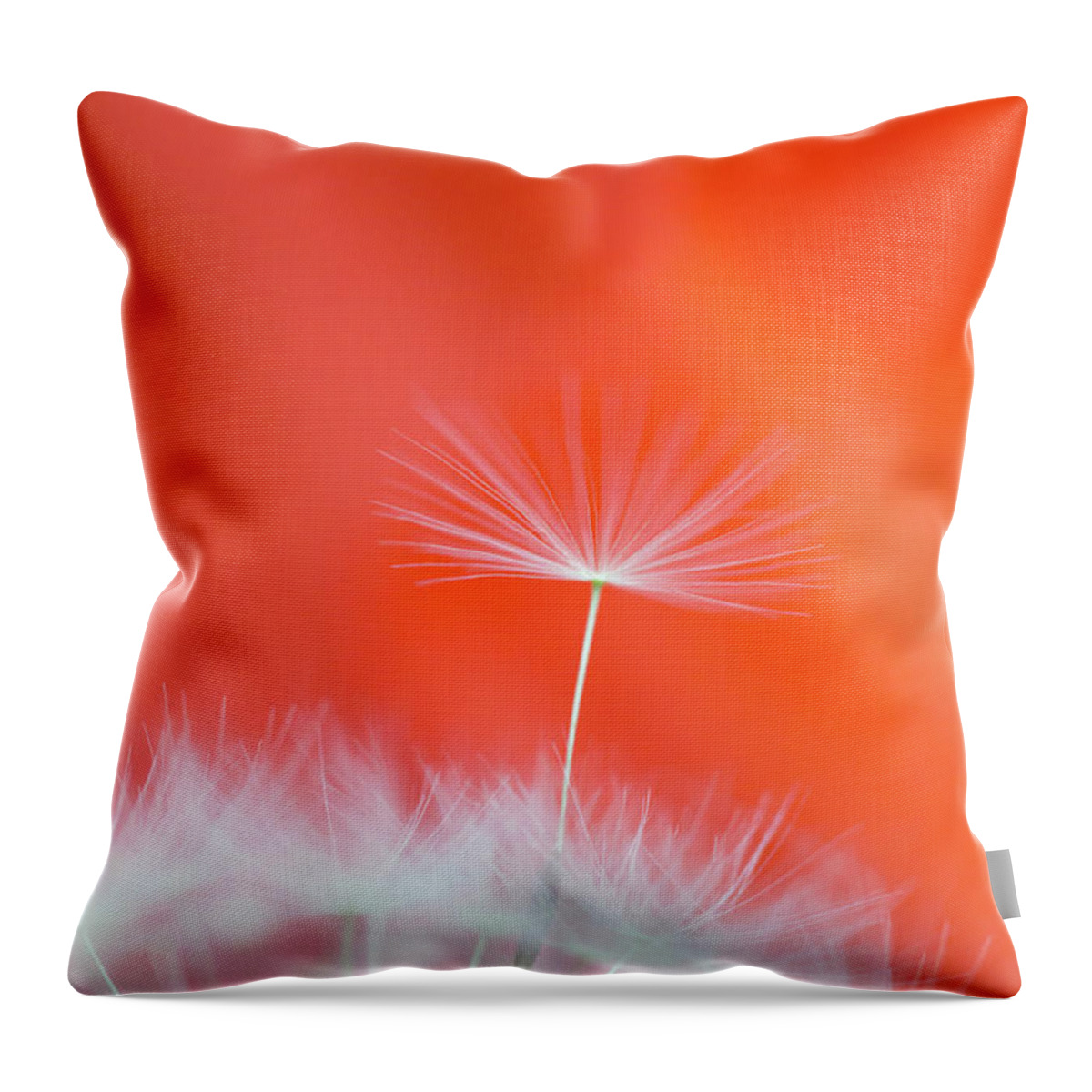 Ideas Throw Pillow featuring the photograph Make a Wish - on Red by Anita Nicholson