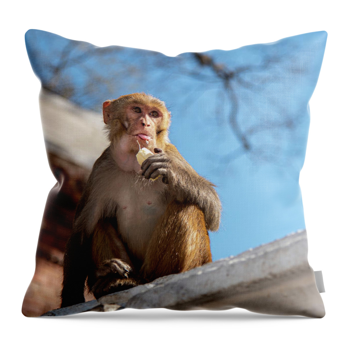 Monkey Decorative Pillow