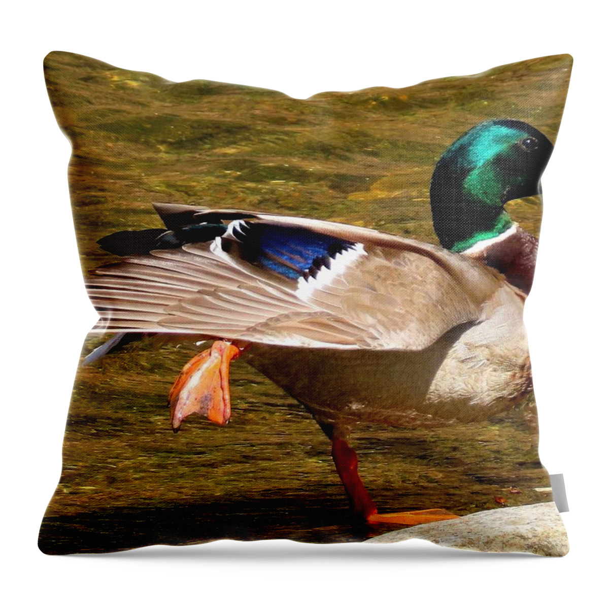 Ducks Throw Pillow featuring the photograph Mallard Doing the Big Stretch by Linda Stern