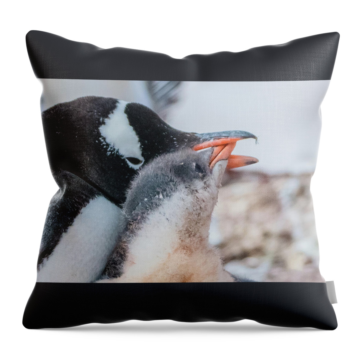 04feb20 Throw Pillow featuring the photograph Mamma Make Me Breakfast Close-Up by Jeff at JSJ Photography