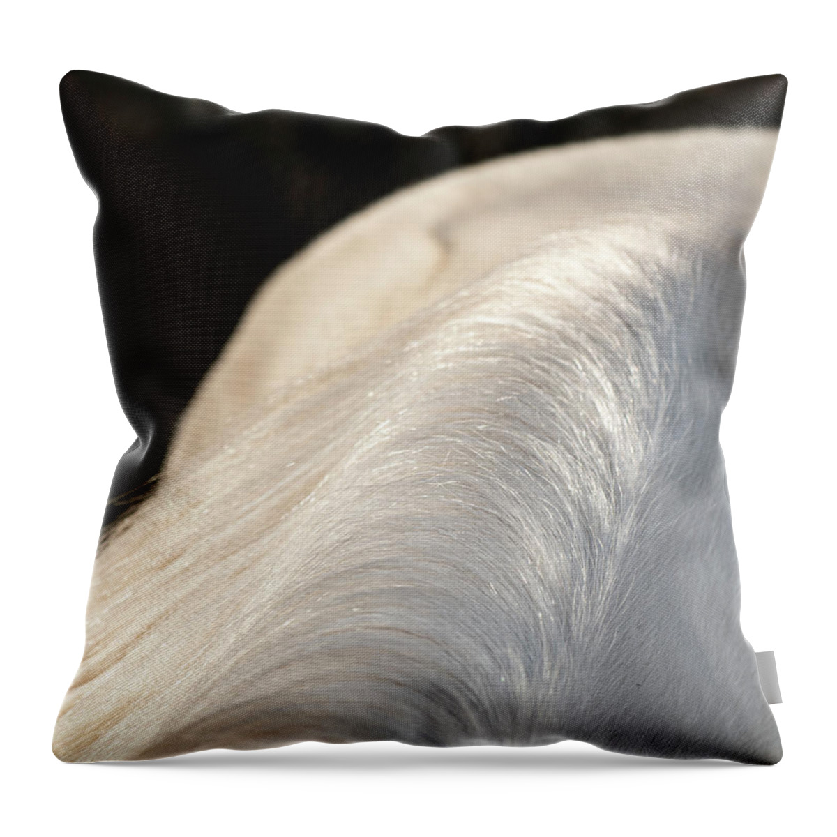 Abstract Throw Pillow featuring the photograph Mane Abstract by Karen Rispin