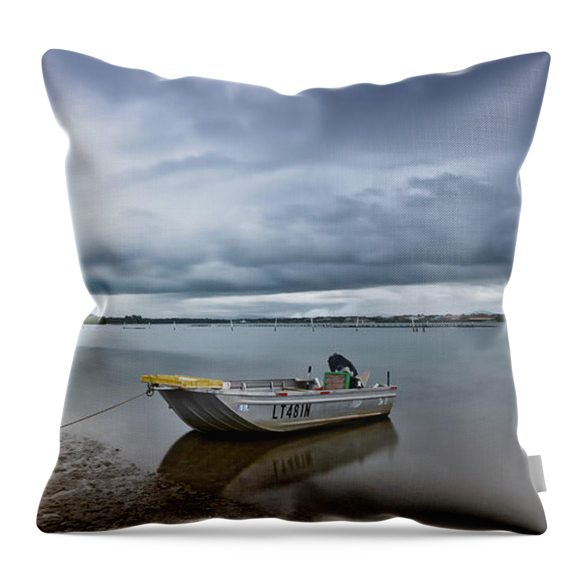 Manning Point Nsw Australia Throw Pillow featuring the digital art Manning Point 21 by Kevin Chippindall