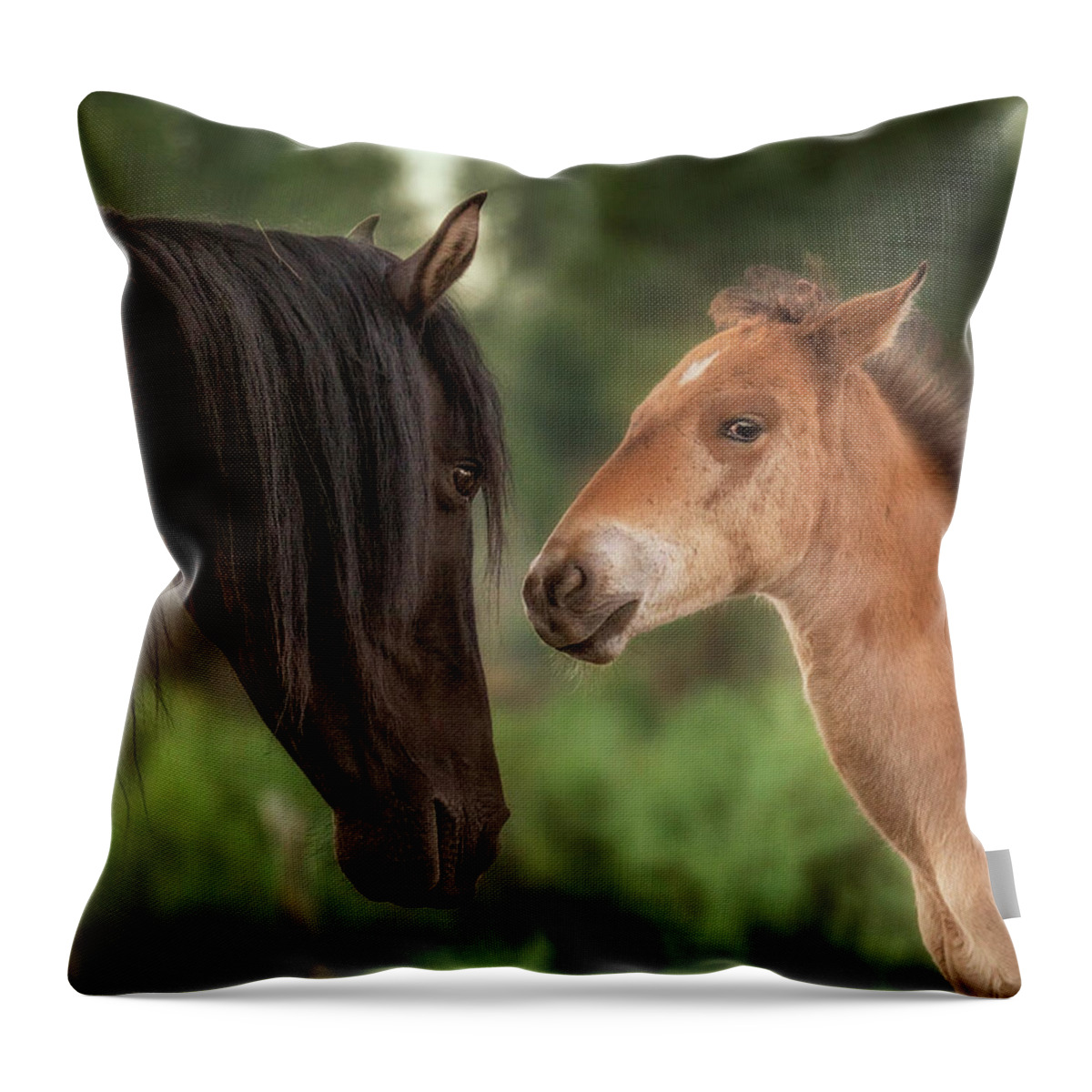 Stallion Throw Pillow featuring the photograph Mare and Colt. by Paul Martin