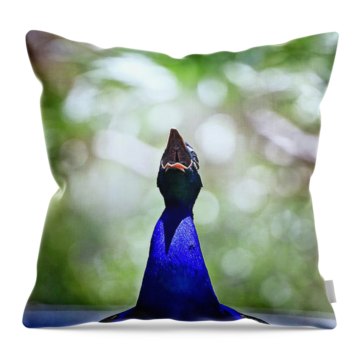 Male Peacock Throw Pillow featuring the photograph Mating Call by Az Jackson
