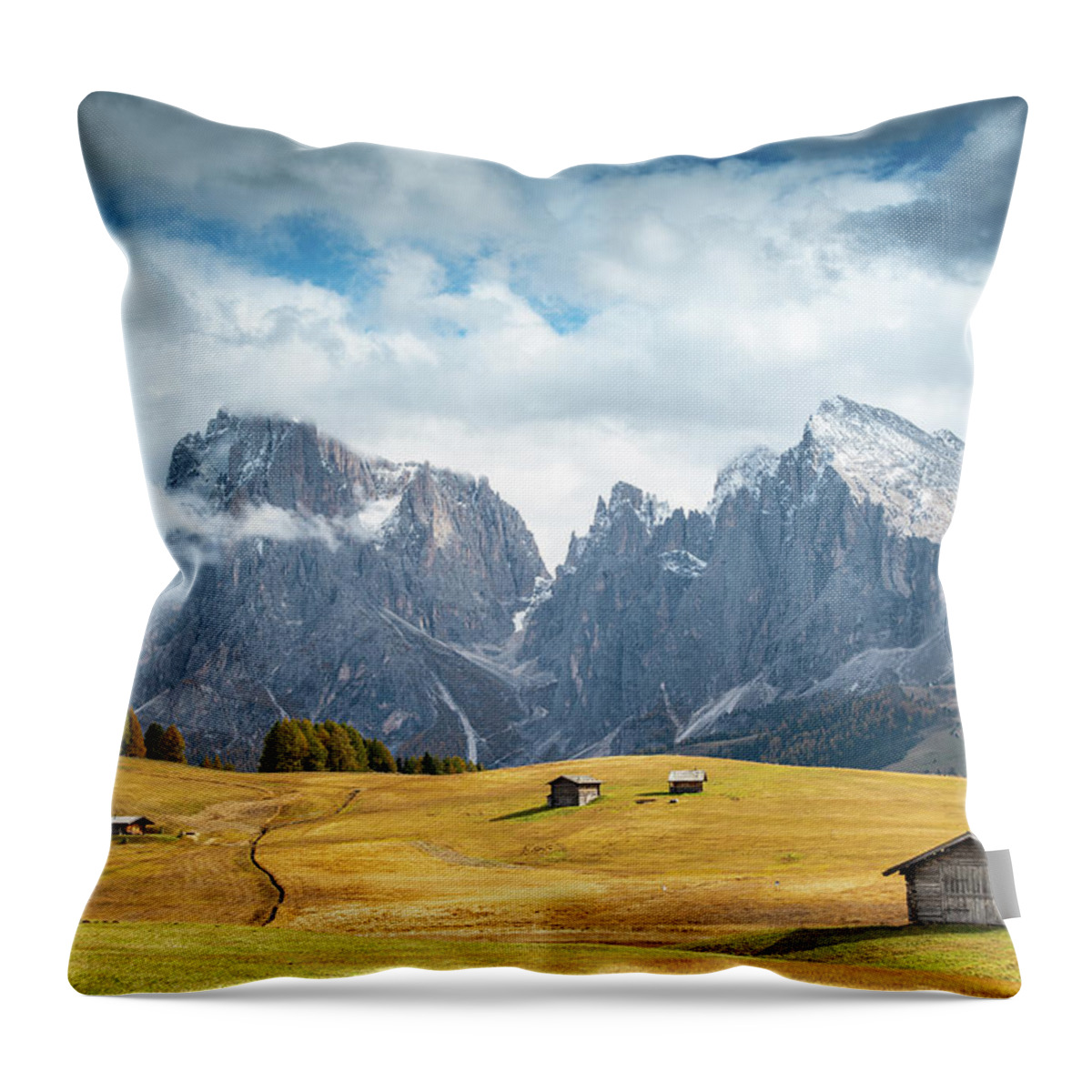 Mountain Landscape Throw Pillow featuring the photograph Meadow field and the Dolomiti rocky peaks Alpe di siusi Seiser Alm Italy by Michalakis Ppalis