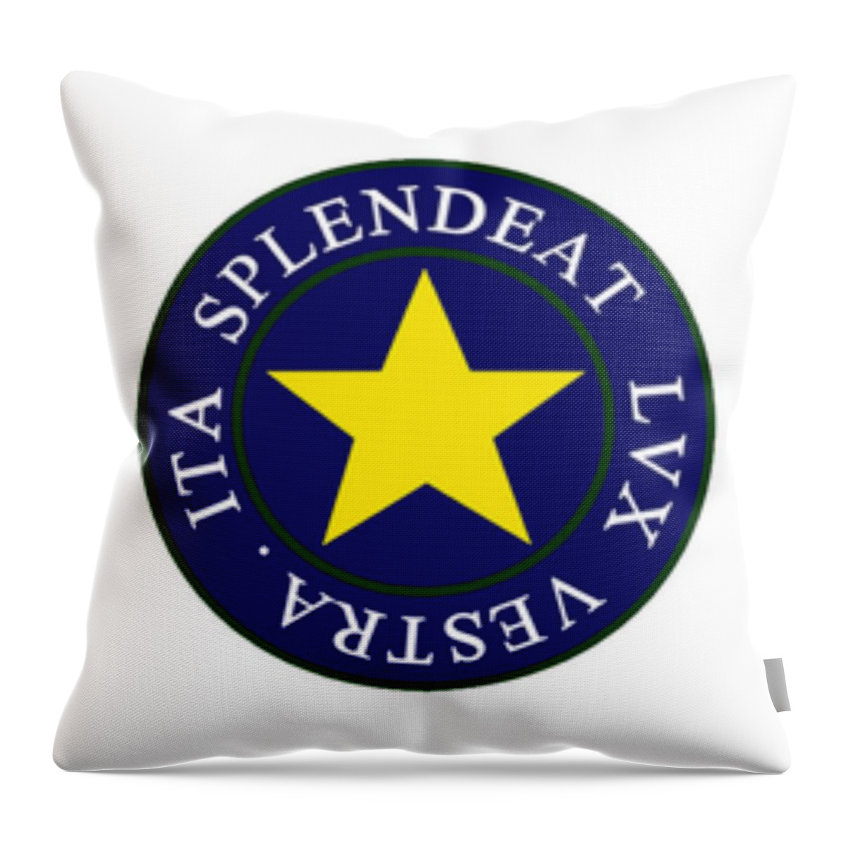 Student Association Throw Pillow featuring the photograph Meadowbrook High School by Trevor A Smith