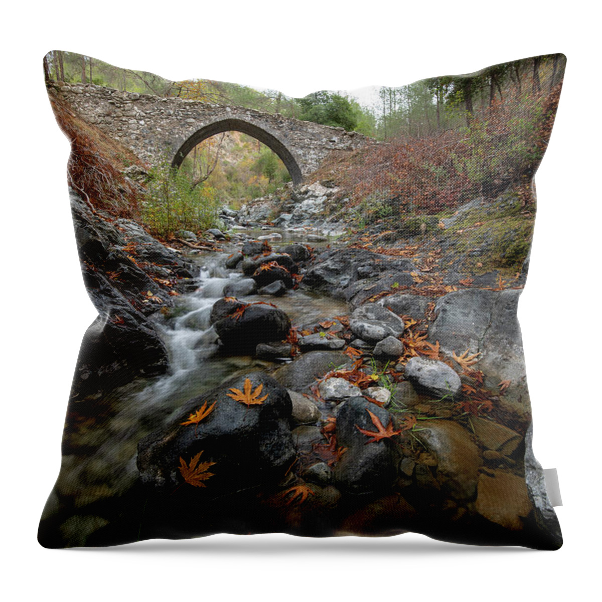 Autumn Throw Pillow featuring the photograph Medieval stoned bridge with water flowing in the river in autumn. by Michalakis Ppalis