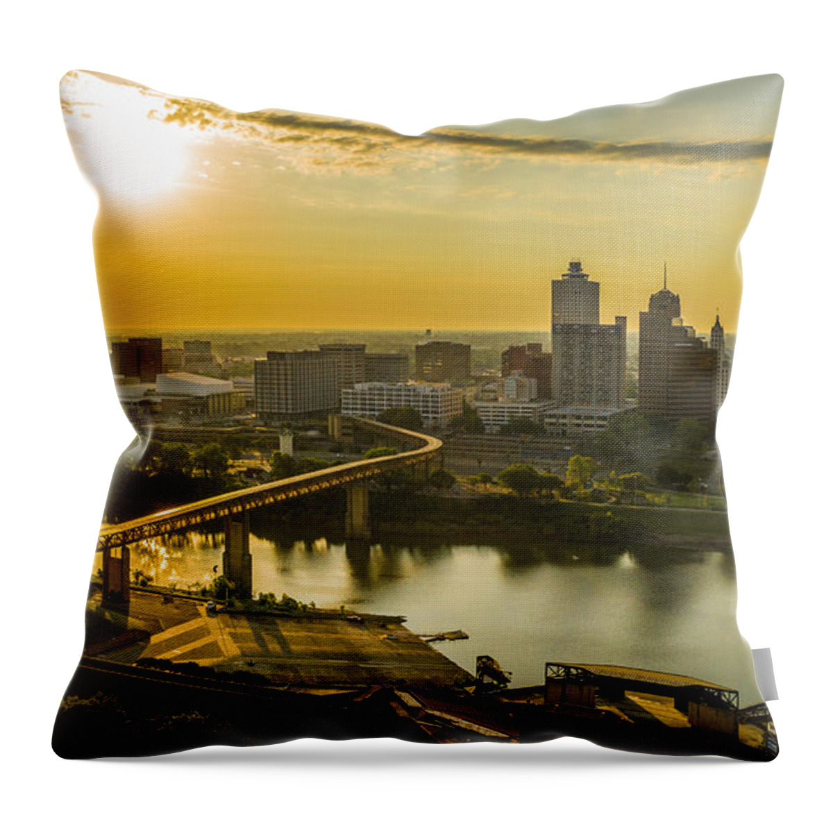 Memphis Throw Pillow featuring the photograph Memphis Gold by DArcy Evans