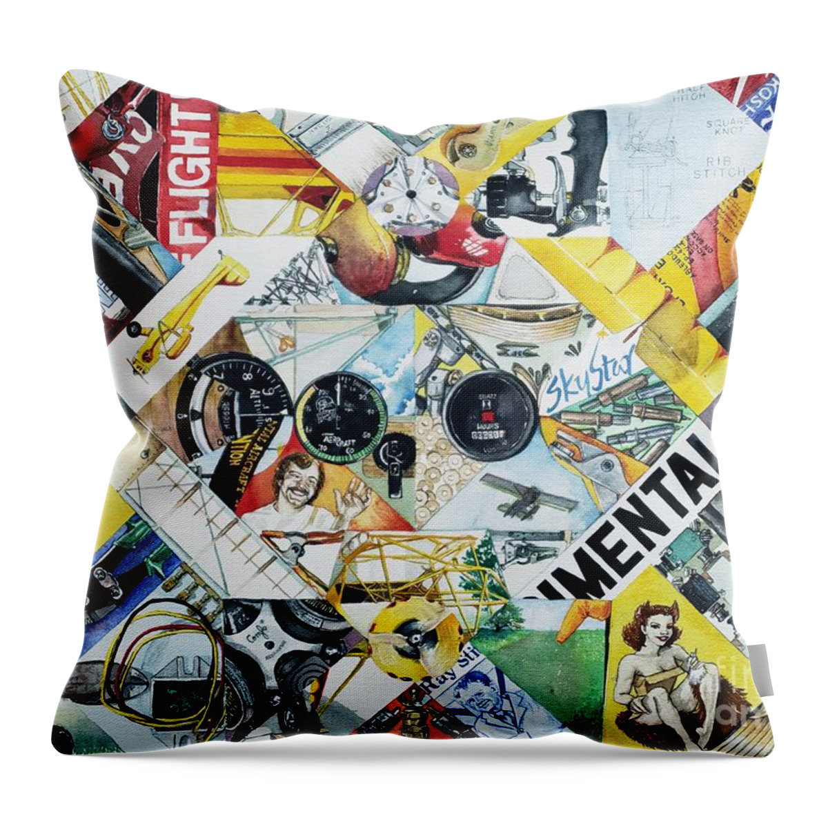 Aviation Throw Pillow featuring the painting Mental Flight by Merana Cadorette