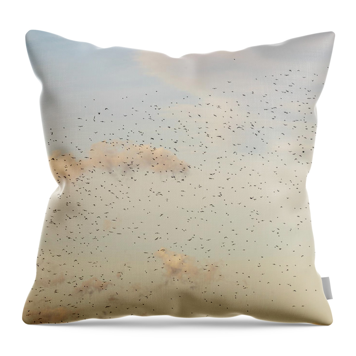 Animals Throw Pillow featuring the photograph MIgrating Birds In The Sky by Amelia Pearn