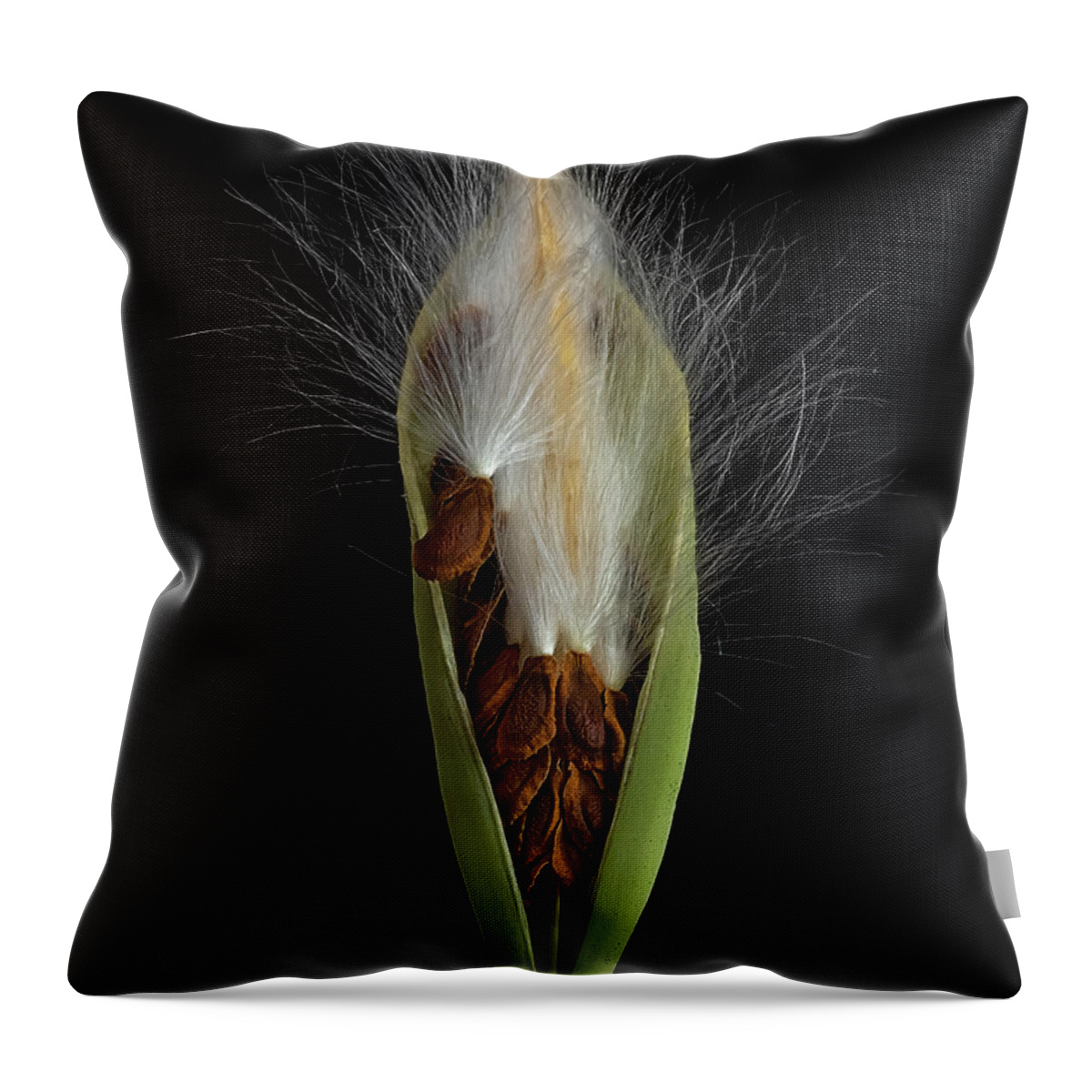 Milkweed Throw Pillow featuring the photograph Milkweed Pod 2 by Endre Balogh