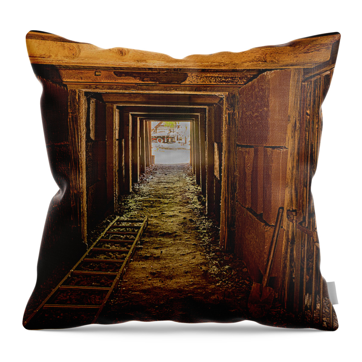  Throw Pillow featuring the photograph Mine Shaft by Al Judge