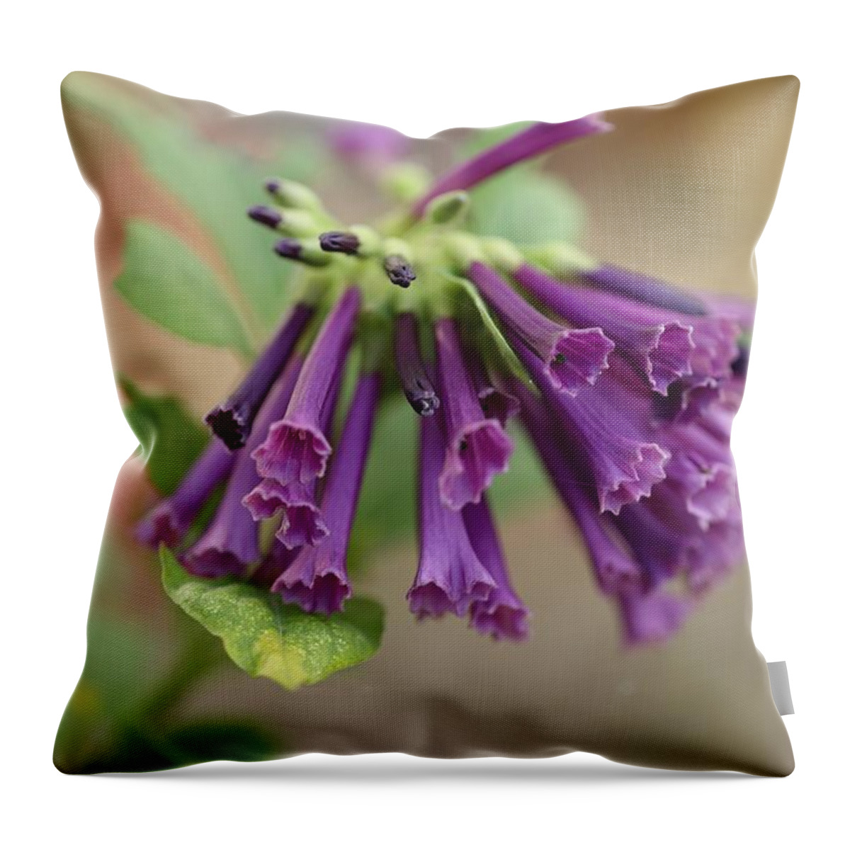 Trumpet Flower Throw Pillow featuring the photograph Mini Trumpet Flowers by Mingming Jiang