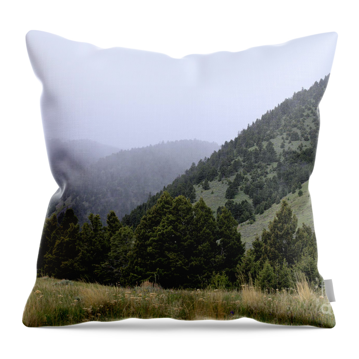 Scenic Throw Pillow featuring the photograph Mist in the Mountains by Kae Cheatham