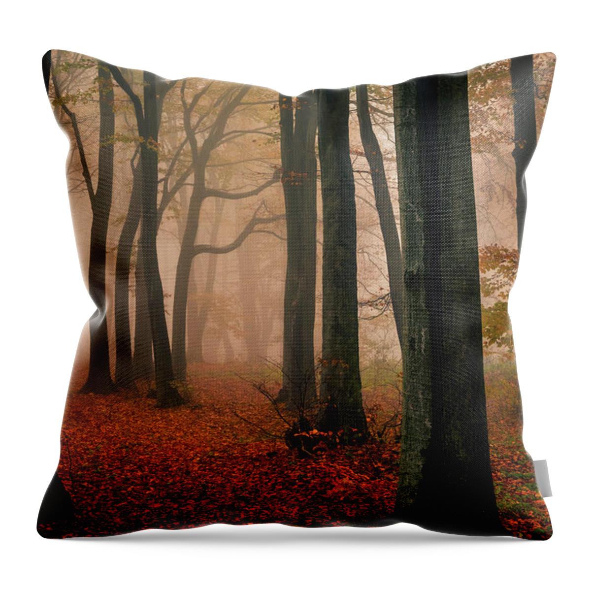 Balkan Mountains Throw Pillow featuring the photograph Misty Autumn Forest by Evgeni Dinev