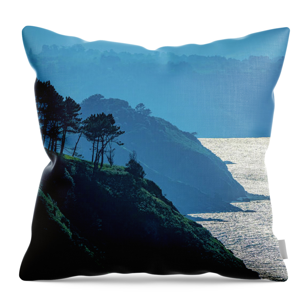 Light Throw Pillow featuring the photograph Misty Clifftop Seascape by Chris Lord