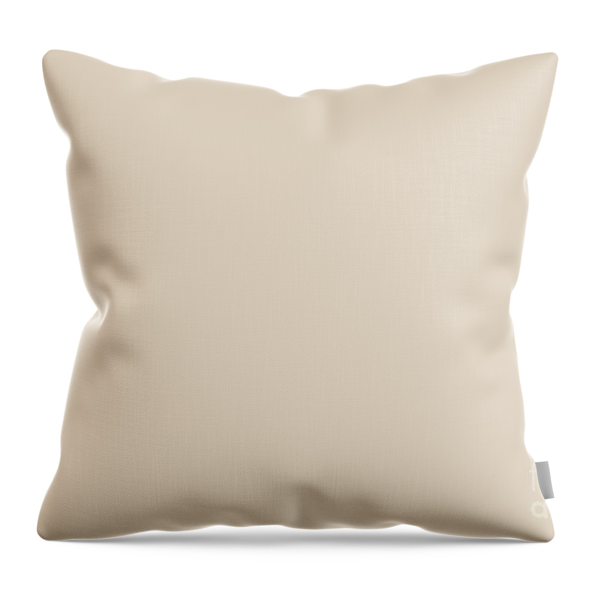 https://render.fineartamerica.com/images/rendered/default/throw-pillow/images/artworkimages/medium/3/modest-cream-solid-color-simply-solids.jpg?&targetx=-119&targety=0&imagewidth=718&imageheight=479&modelwidth=479&modelheight=479&backgroundcolor=E2D6C3&orientation=0&producttype=throwpillow-14-14