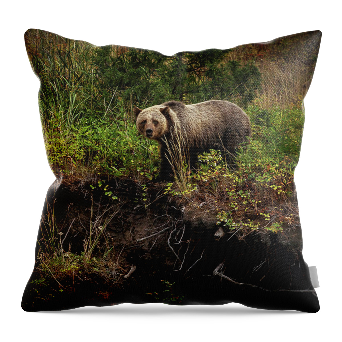 Landscape Throw Pillow featuring the photograph Moma Bear on North Fork by Craig J Satterlee