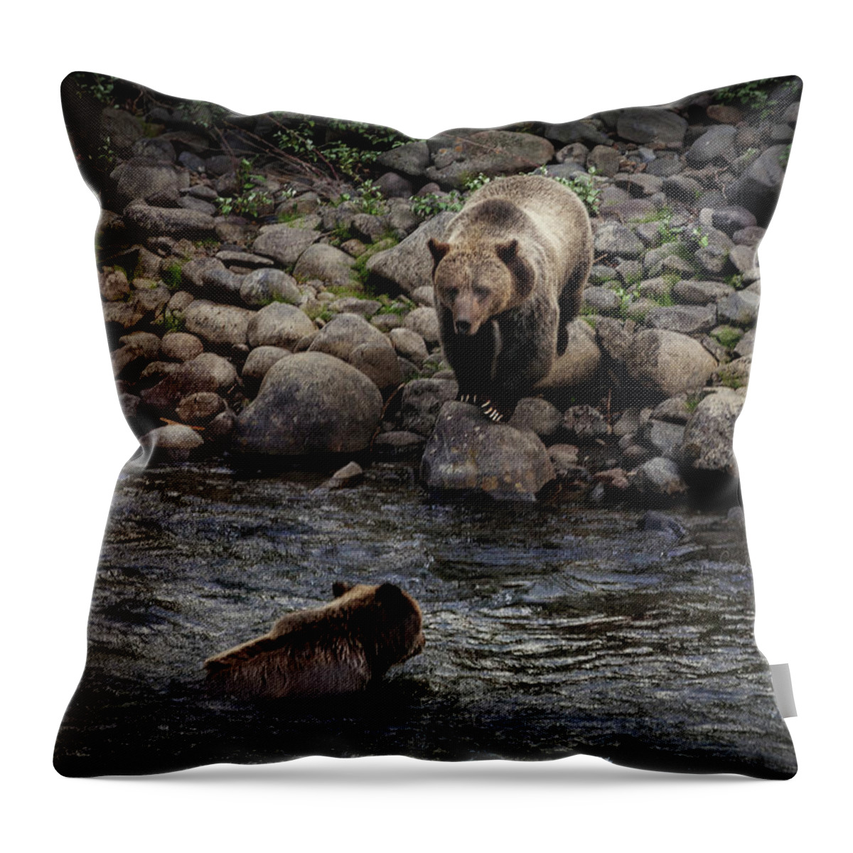 Grizzly Throw Pillow featuring the photograph Moma Bear Scolding Baby Bear by Craig J Satterlee
