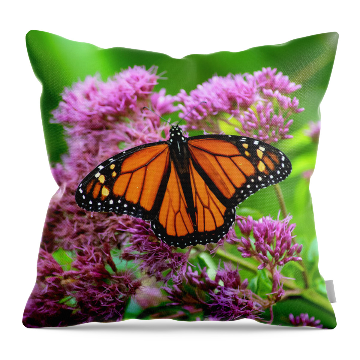 Nature Throw Pillow featuring the photograph Monarch Butterfly by Cathy Kovarik