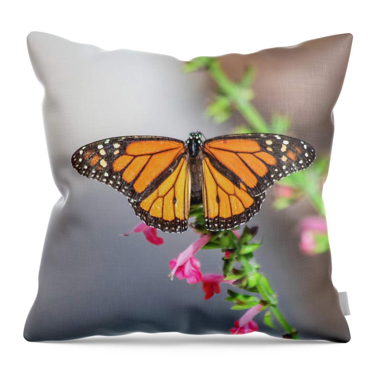 Nature Throw Pillow featuring the photograph Monarch Butterfly by Robert Wilder Jr