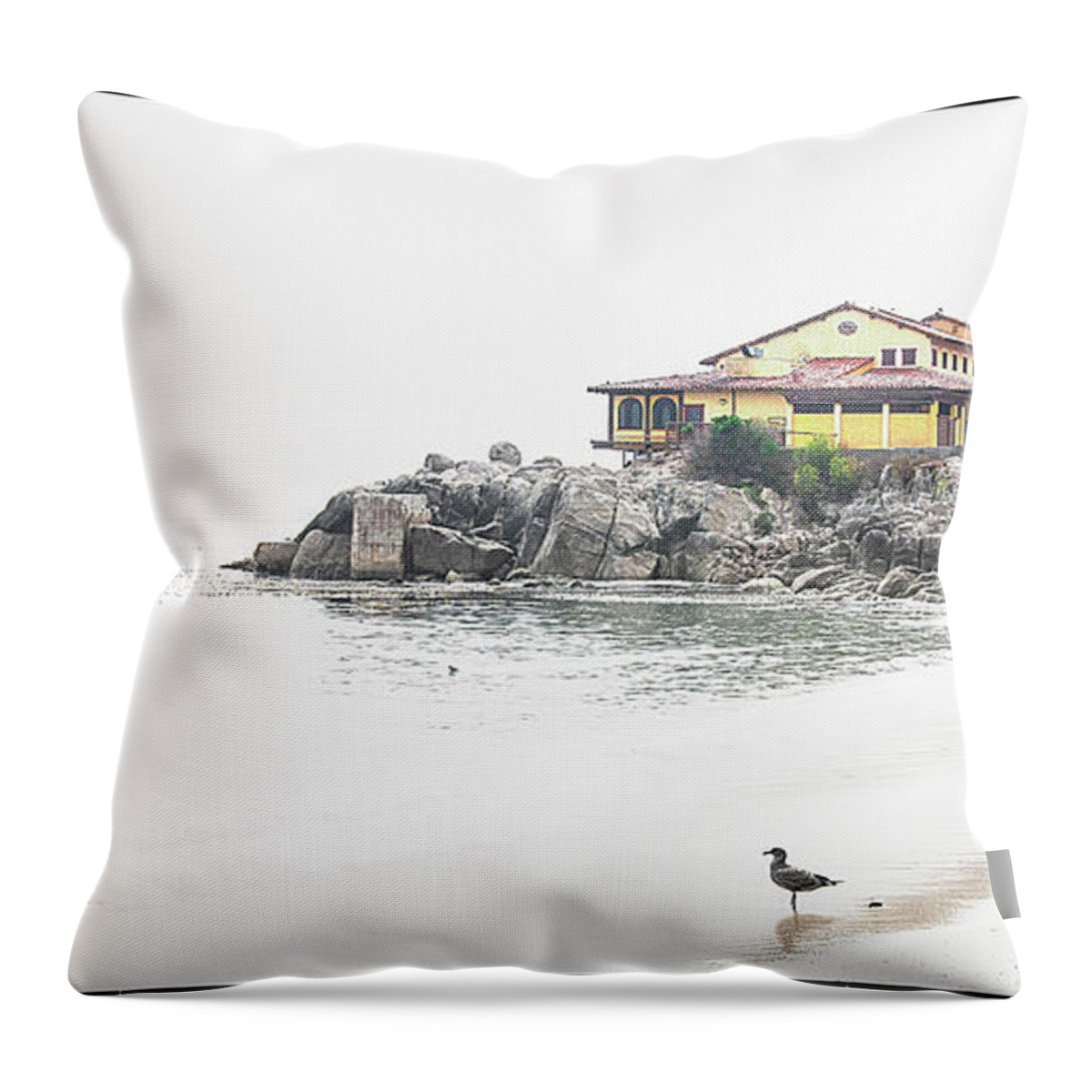 Fine Art Photography Throw Pillow featuring the photograph Monterey, California #2 by John Strong