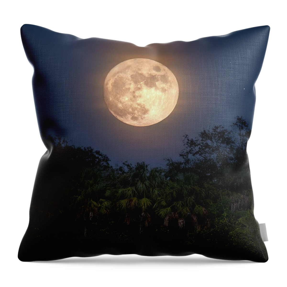 Moon Over Big Cypress Swamp Throw Pillow by Mark Andrew Thomas - Mark  Andrew Thomas - Artist Website