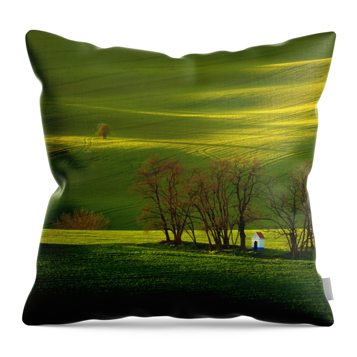 Fields Throw Pillow featuring the photograph Moravian rolling fields by Piotr Skrzypiec