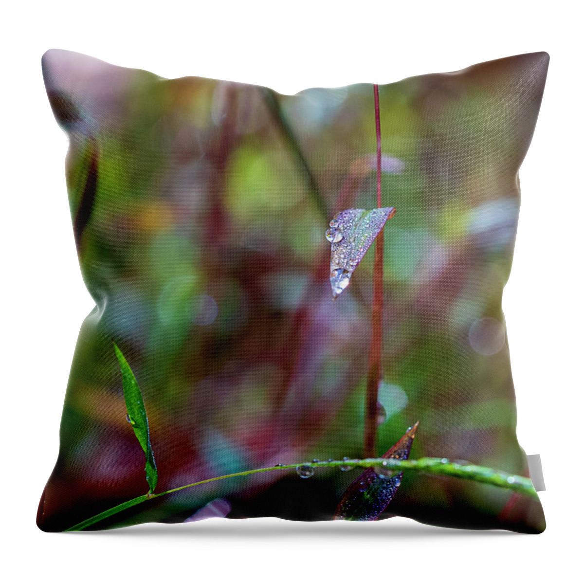 Water Drops Throw Pillow featuring the photograph Morning Dew on Grass by Amelia Pearn
