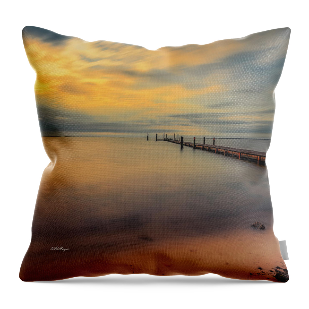 Landscapes Throw Pillow featuring the photograph Morning Glory by DB Hayes