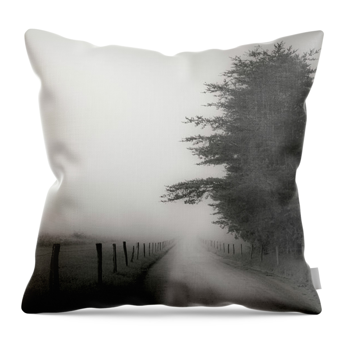Landscapes Throw Pillow featuring the photograph Morning on a Country Road by David Hilton