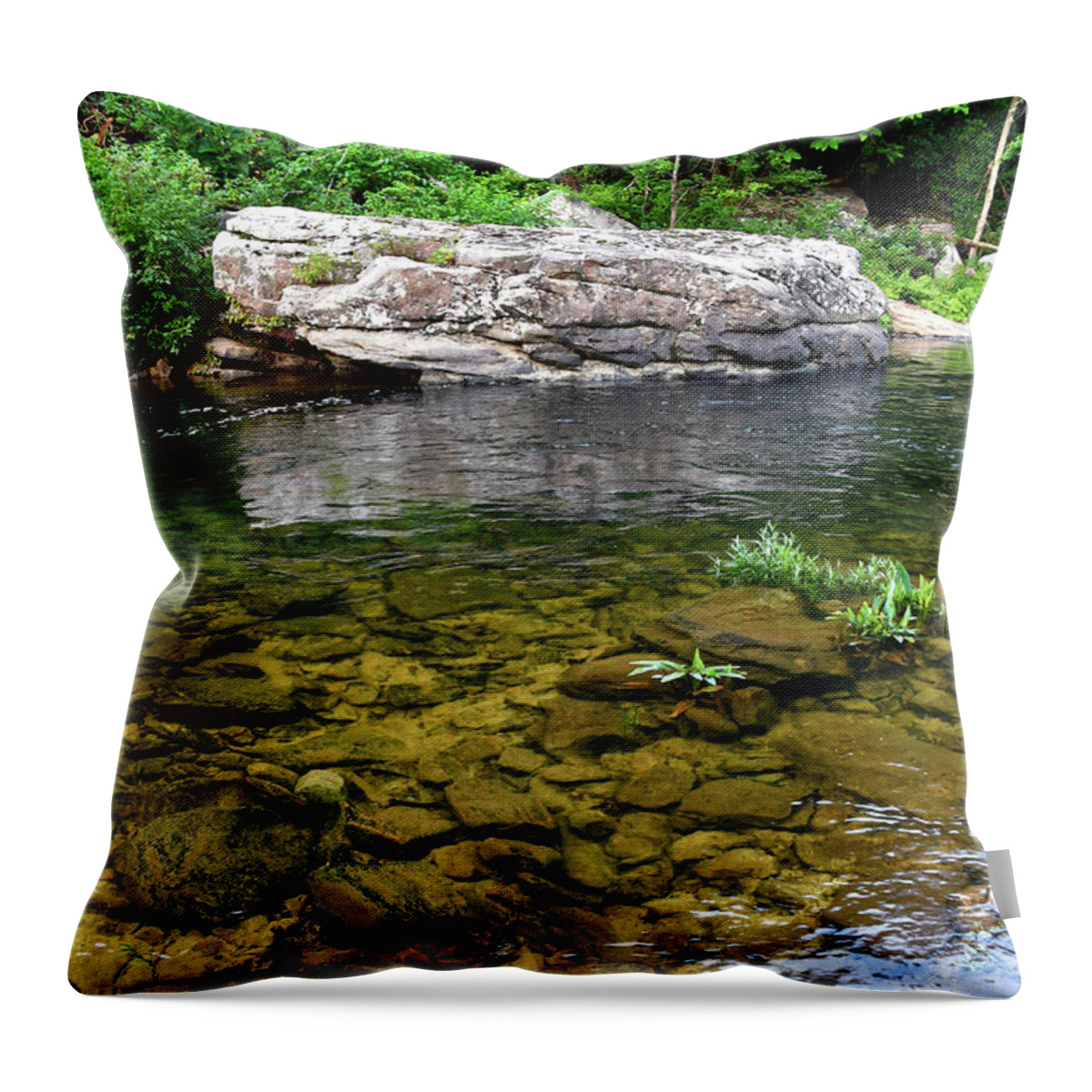 Tennessee Throw Pillow featuring the photograph Morning Reflections 2 by Phil Perkins