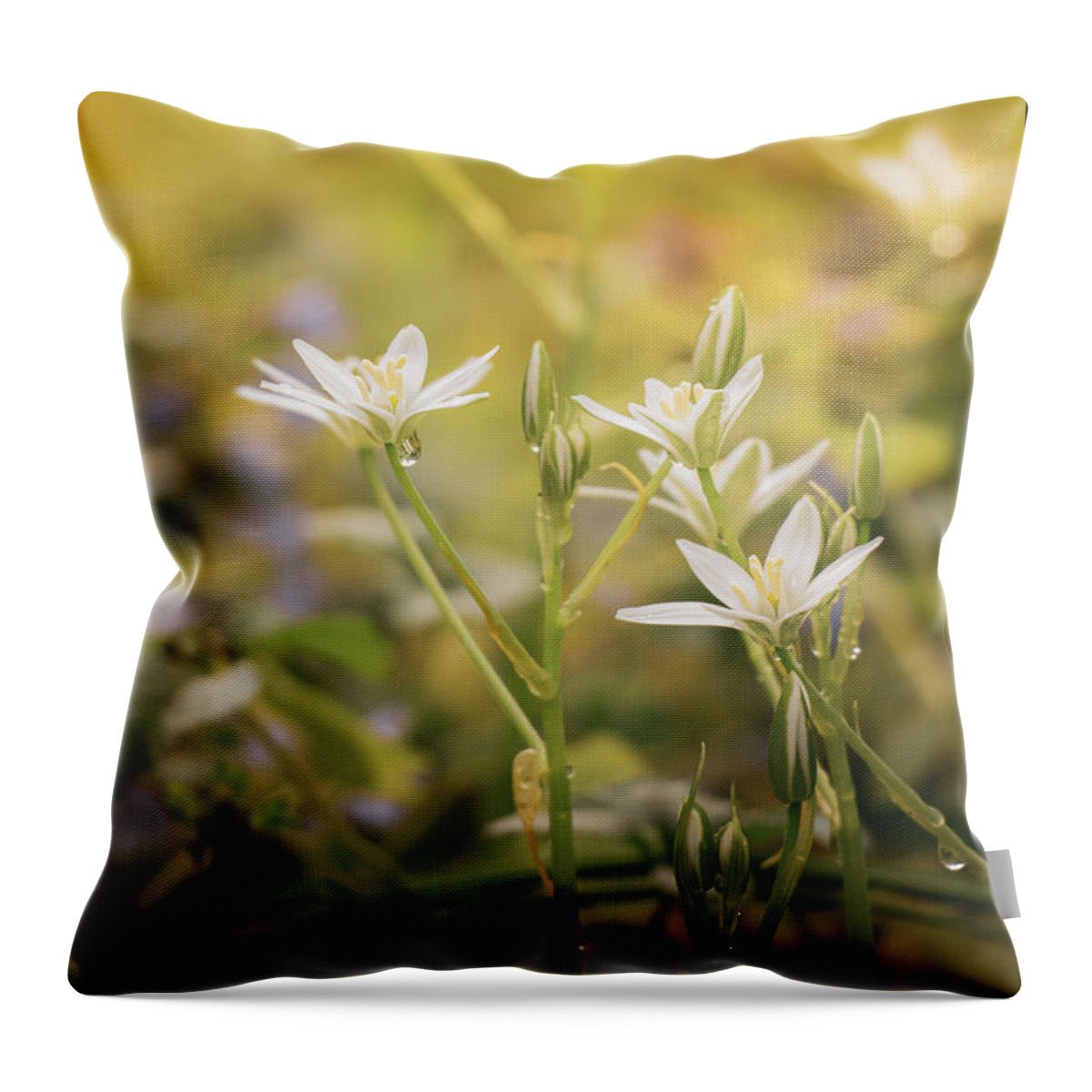 Botany Throw Pillow featuring the photograph Morning Wildflowers by Jason Fink