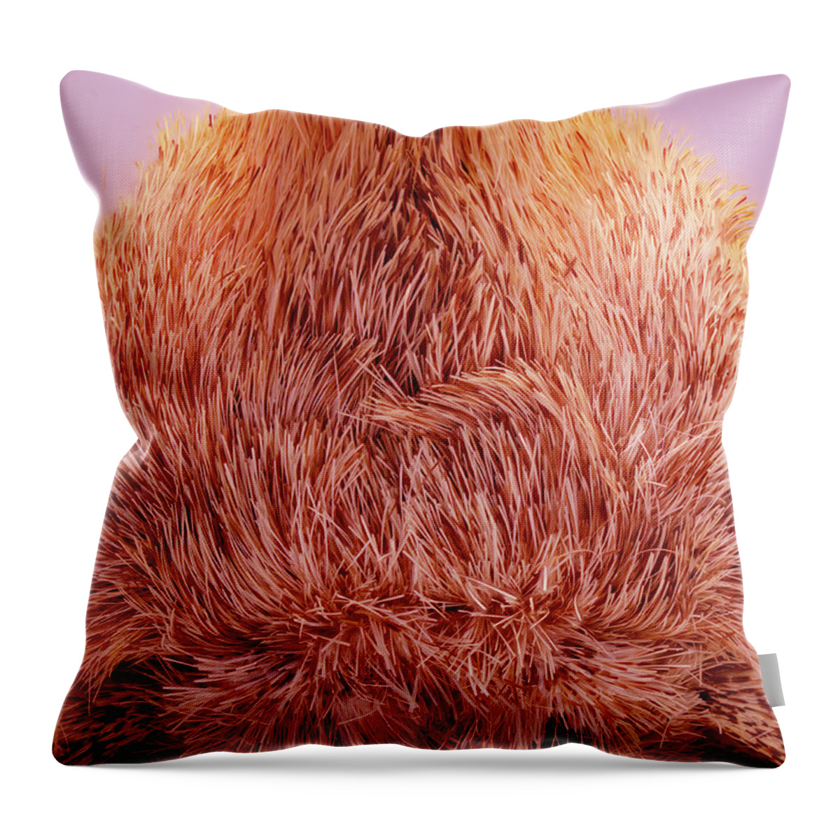 Moth Throw Pillow featuring the photograph Live Moth Head On by Daniel Reed