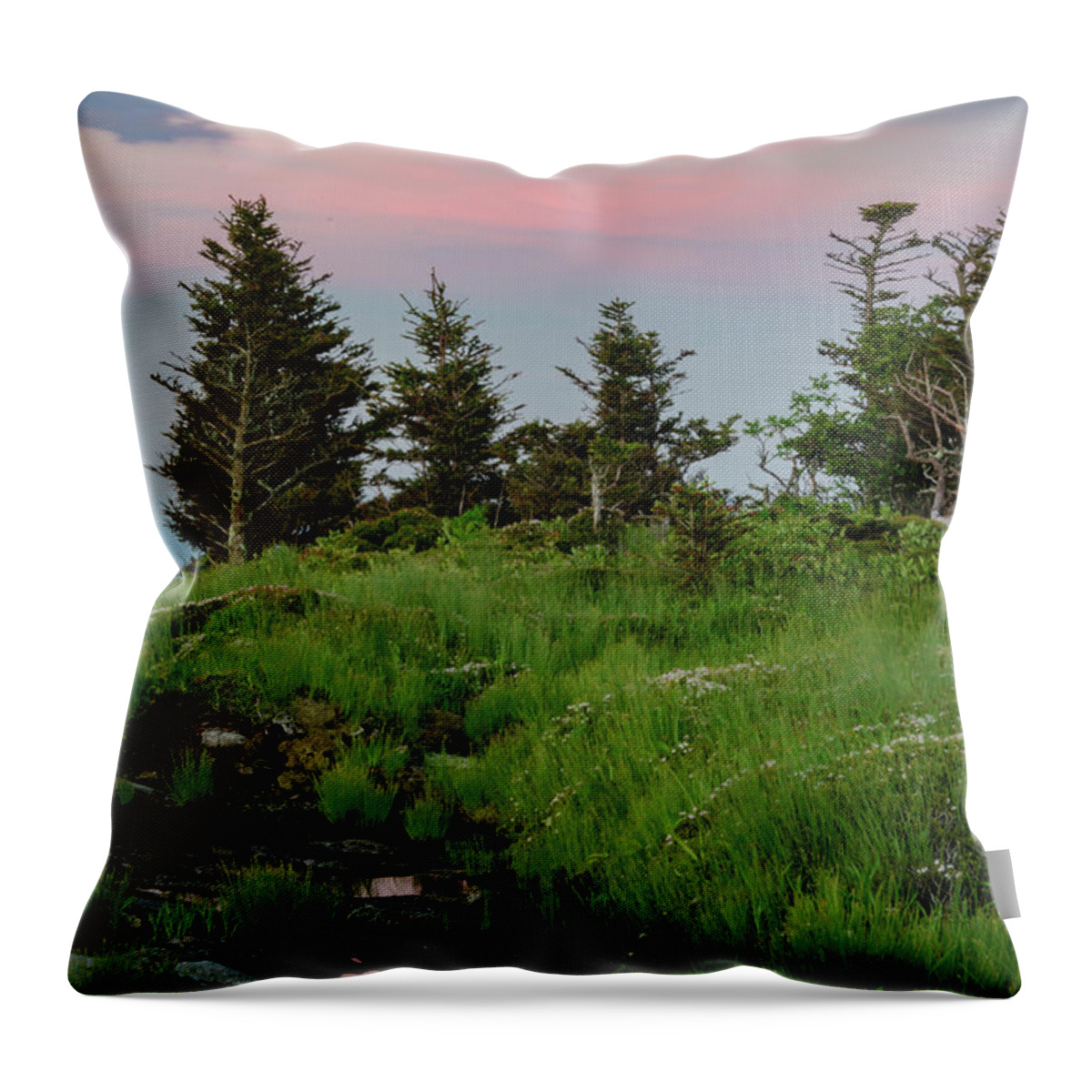 Blue Ridge Mountains Throw Pillow featuring the photograph Mountain Top Sunrise by Melissa Southern