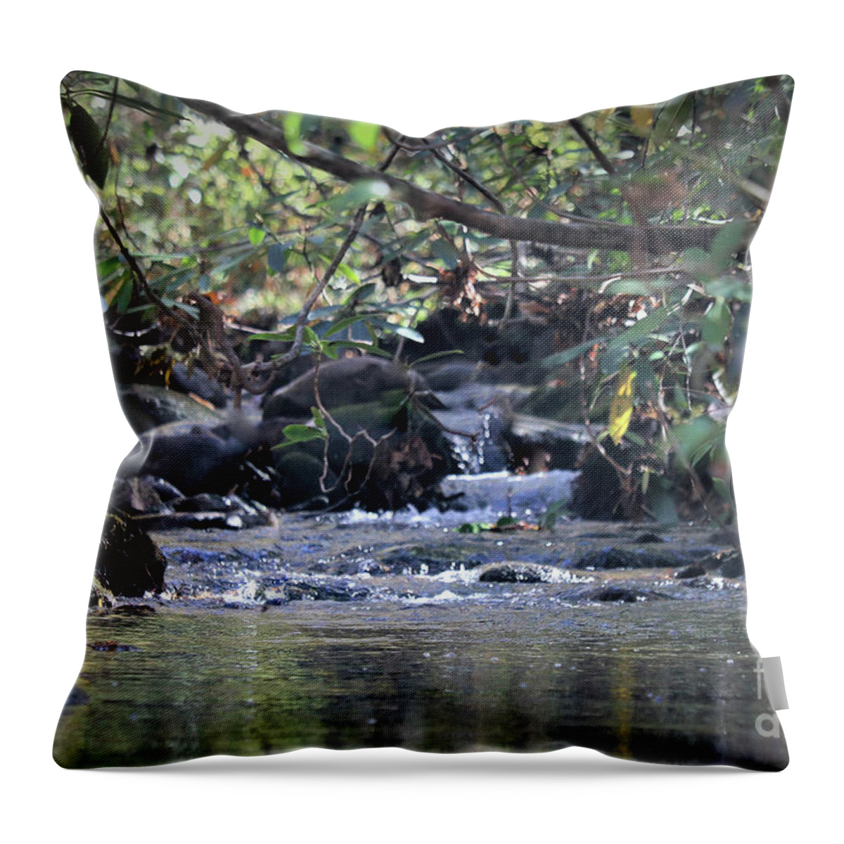Landscape Throw Pillow featuring the photograph Mountain Water , Smoky Mountains by Theresa D Williams