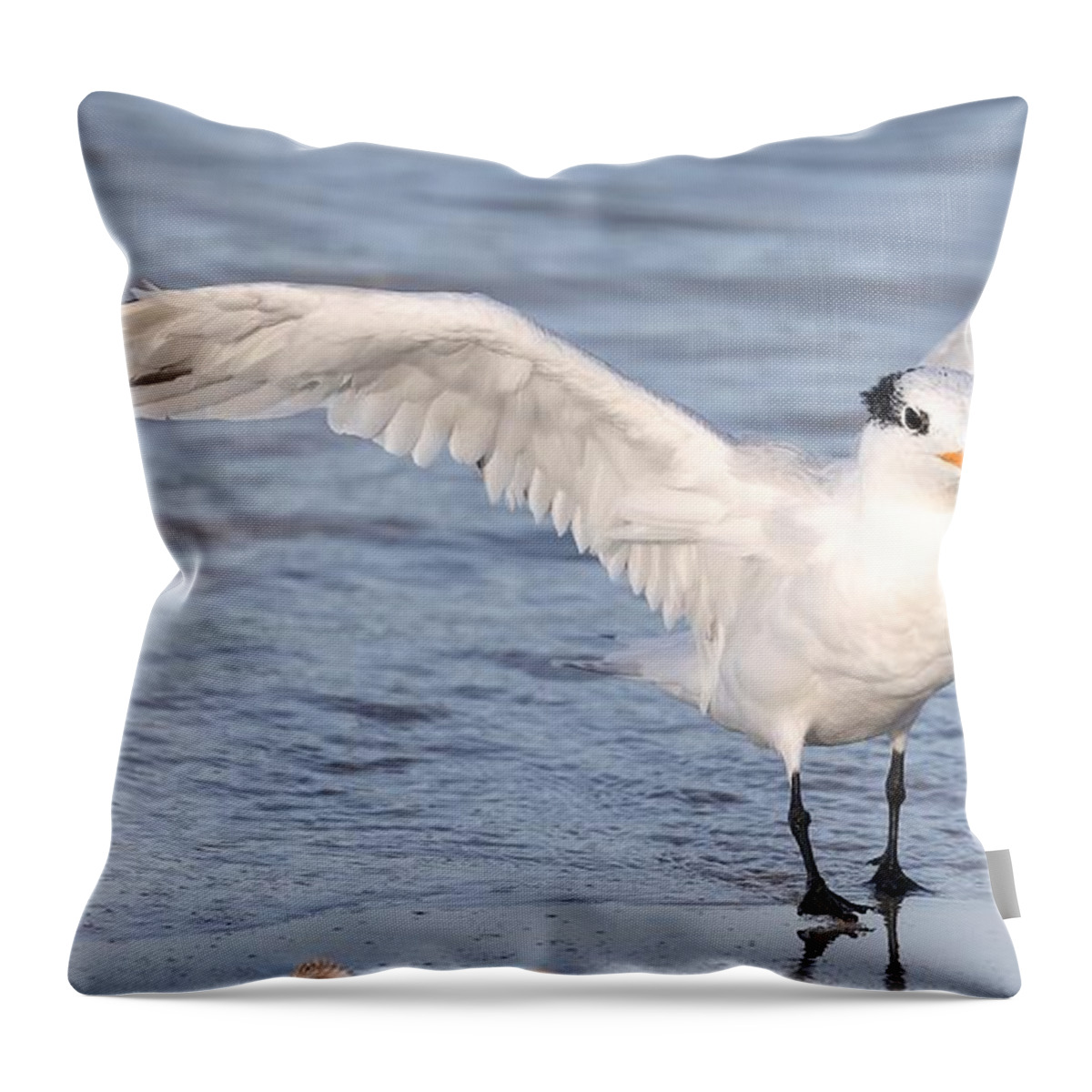 Royal Terns Throw Pillow featuring the photograph Muscular Wings 2 by Mingming Jiang